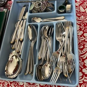 Stainless steel with gold accent flatware. Gently used. Excellent condition.